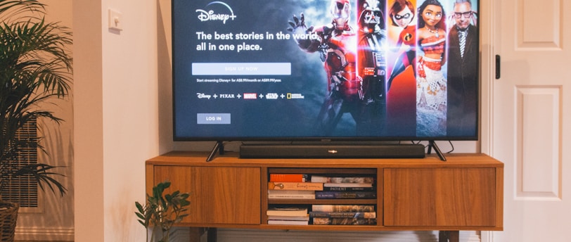 A flat-screen TV on a wooden stand displays Disney+ with various characters on the screen. The room has a plant on the floor and books stacked on the stand.